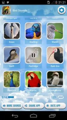 Bird Sounds android App screenshot 0