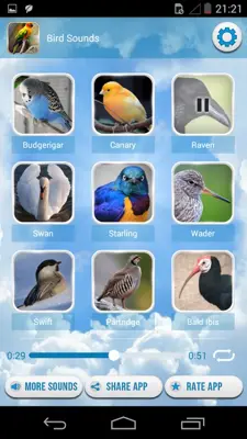 Bird Sounds android App screenshot 1