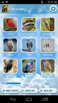 Bird Sounds android App screenshot 3