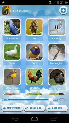 Bird Sounds android App screenshot 4